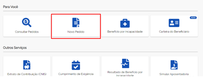 A página mostra em destaque a parte "Novo Pedido" do Meu INSS.