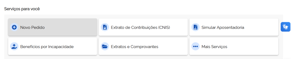 A imagem mostra a opção de "Novo Pedido" no INSS.