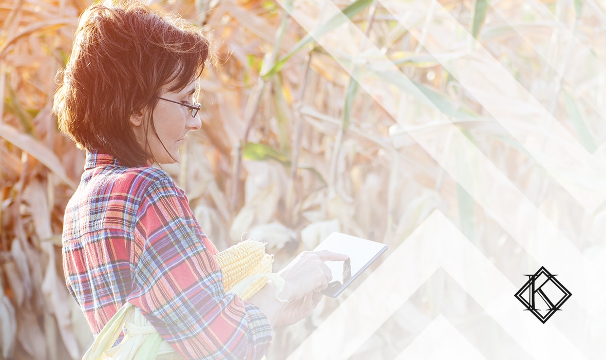 A imagem mostra uma mulher trabalhando em um ambiente rural. Ela está usando uma camiseta quadriculada de mangas longas, enquanto tem duas espigas de milho embaixo de uma de suas axilas e também segura um tablet, e ilustra a publicação 