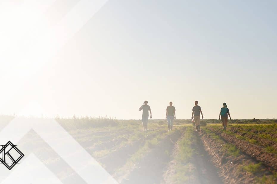 A imagem mostra trabalhadores rurais no campo, e ilustra a publicação "Aposentadoria rural a partir dos 8 anos de idade: regras", da Koetz Advocacia.