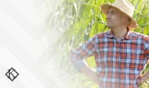 A iamgem mostra um trabalhador rural olhando para o horizonte e ele está na frente de uma plantação de milho. O homem usa uma camiseta quadriculada, com os botões fechados e um chapéu de palha e ilustra a publicação 