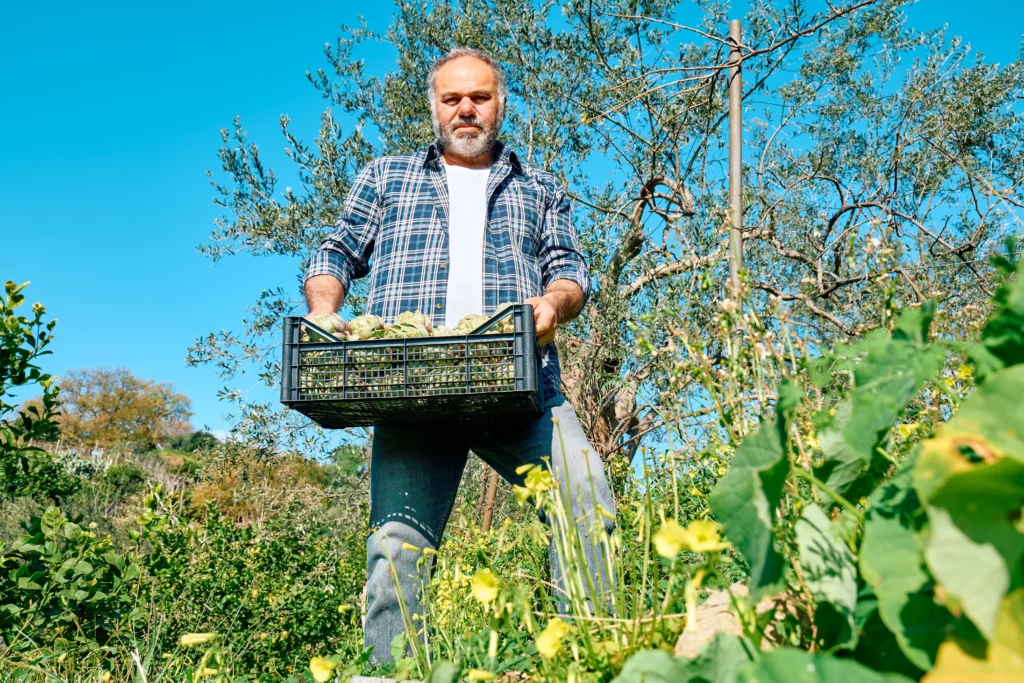 Requisitos para Aposentadoria Rural