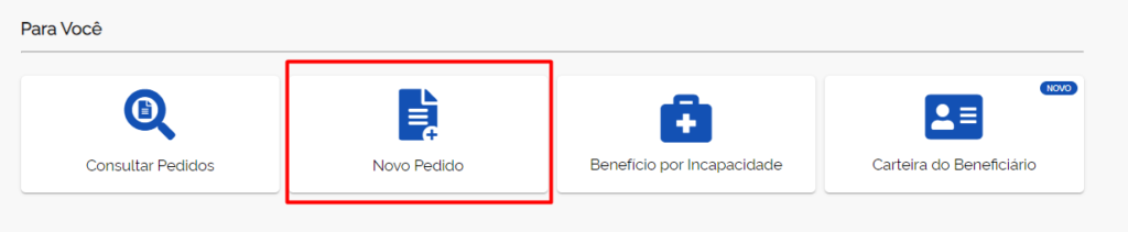 A imagem mostra a parte "Para Você" do meu INSS, onde a opção "Novo Pedido" está destacada.