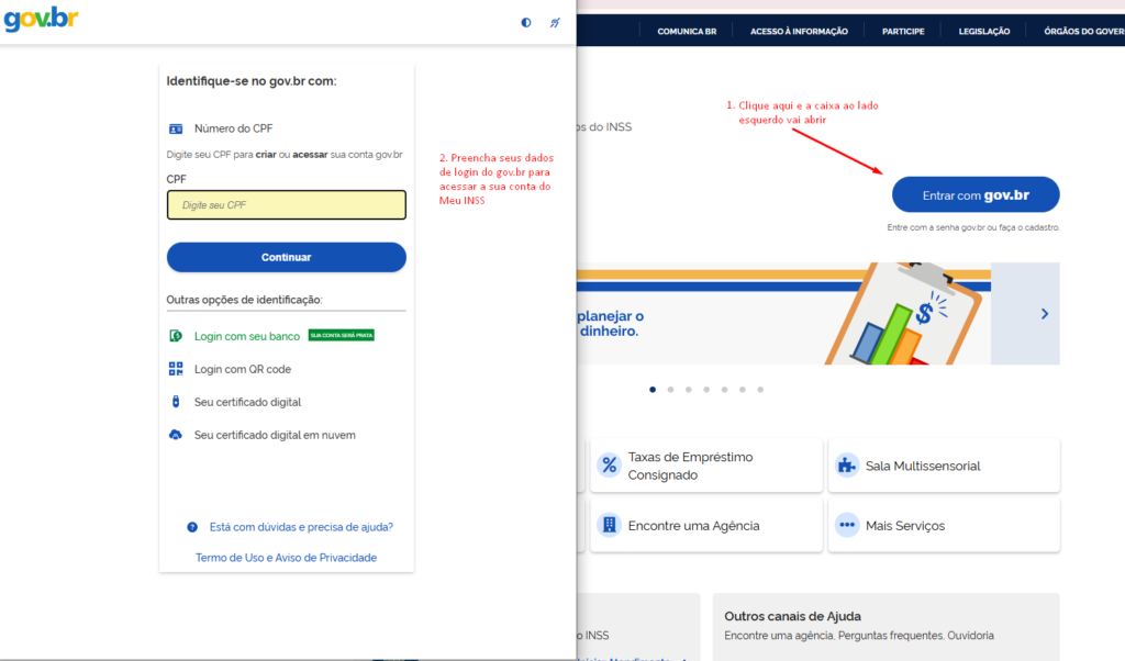 Clique ou toque no botão de login com o Gov.br e depois preencha as informações de login na tela adicional que irá abrir.