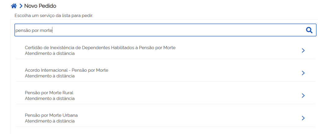 A imagem mostra as opções de "pensão por morte" no Meu INSS.